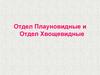 Отдел Плауновидные и Отдел Хвощевидные
