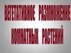Вегетативно размножение комнатных растений