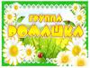 Группа «Ромашка»