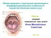 Общие принципы структурной организации и морфофункциональные особенности слизистой оболочки полости рта