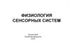 Физиология сенсорных систем. Лекция № 25