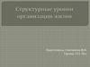 Структурные уровни организации жизни