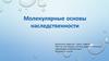 Молекулярные основы наследственности