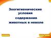Зоогигиенические условия содержания животных в неволе 1