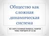 Общество, как сложная динамическая система
