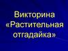 Викторина «Растительная отгадайка». 6 класс