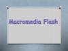 Macromedia Flash