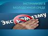 Экстремизм в молодежной среде