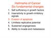 Hallmarks of Cancer Six fundamental changes