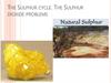 The Sulphur cycle. The Sulphur dioxide problems