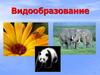 Видообразование. Пути образования новых видов. Эволюция