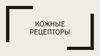 Рецепторы кожи