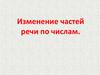 Изменение частей речи по числам