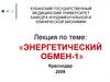 Энергетический обмен-1