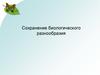 Сохранение биологического разнообразия