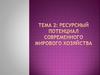 Ресурсный потенциал современного мирового хозяйства