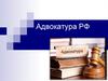 Адвокатура РФ
