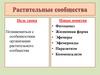 Растительные сообщества
