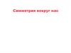 Симметрия вокруг нас