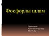 Фосфорлы шлам