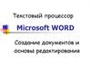 Microsoft Word