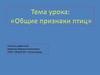 Общие признаки птиц