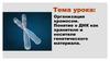 Организация хромосом. Понятие о ДНК как хранителе и носителе генетического материала