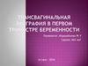 Трансвагинальная эхография в первом триместре беременности
