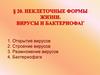 Вирусы и бактериофаги. Неклеточные формы жизни