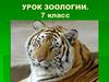 Роль млекопитающих в природе, жизни человека, их охрана. Защита проектов по зоологии