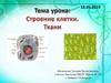 Строение клетки ткани