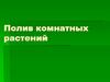 Полив комнатных растений