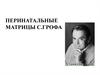 Перинатальные матрицы С.Грофа