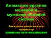 Анамалии органов мочевой и мужской половой систем