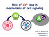 Role of Ca2+ ions in mechanisms of cell signaling