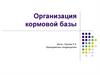 Организация кормовой базы для сельскохозяйственных животных. Нормы кормления. Классификация кормов