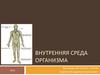 Внутренняя среда организма человека