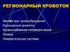 Регионарный кровоток