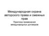Международная охрана авторского права и смежных прав. Практика применения международных договоров