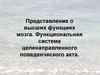 Высшие функции мозга. Функциональная система целенаправленного поведенческого акта