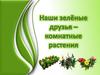 Комнатные растения - наши зелёные друзья