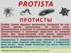 Протиста (protista)