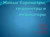 Живые барометры, гигрометры и индикаторы