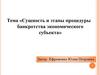 Сущность и этапы процедуры банкротства экономического субъекта