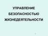 Управление безопасностью жизнедеятельности