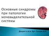 Основные синдромы при патологии мочевыделительной системы