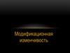 Модификационная изменчивость