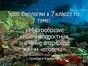 Многообразие кишечнополостных, значение в природе, жизни человека. 7 класс