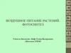 Воздушное питание растений. Фотосинтез