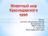 Животный мир Краснодарского края